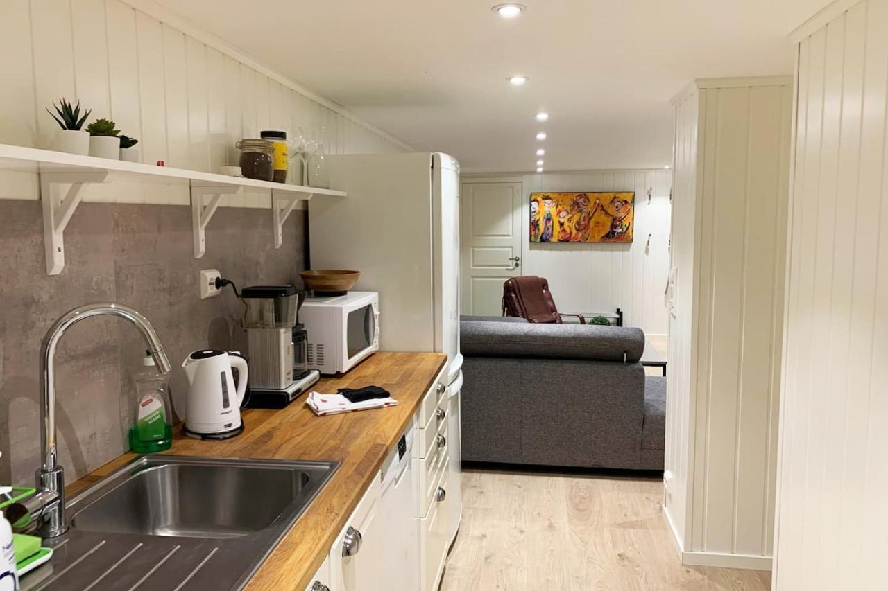 Newly Renovated Basement Apartment Сарпсборг Екстериор снимка